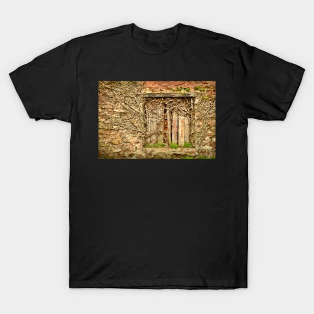 Hardly A Window Anymore T-Shirt by AlexaZari